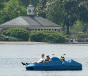 Information on rowing boat and pedalo hire in London, UK