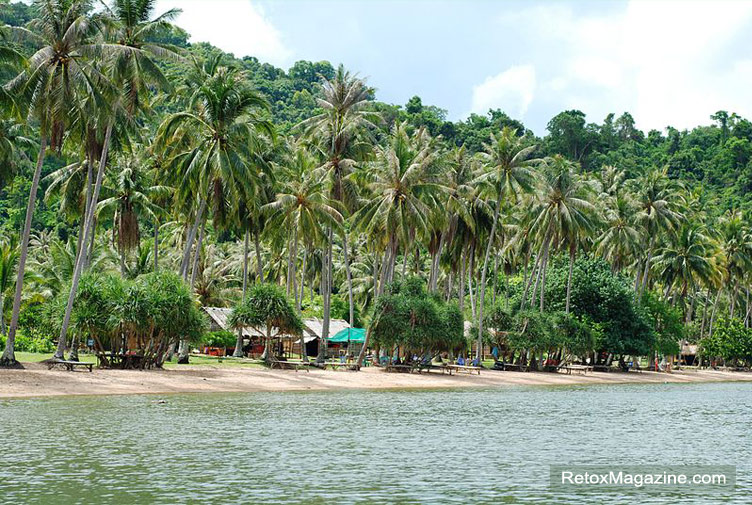 Koh Tonsay island beach with coconut palms, coastal Cambodia