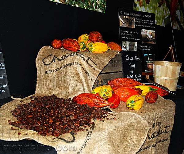 Chocolate week 2010 - cocoa-beans