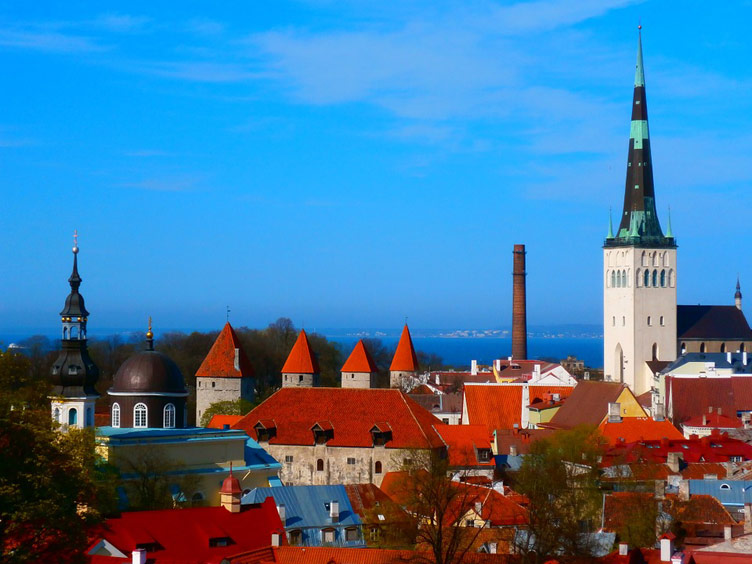 Bright red roof tops of Tallinn's old town set against blue sky