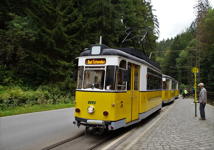 Yellow trolleycars lined up at a tram stop set against lush green nature