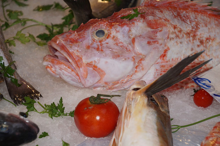 Fresh fish presented on ice at a market in Sicily. 