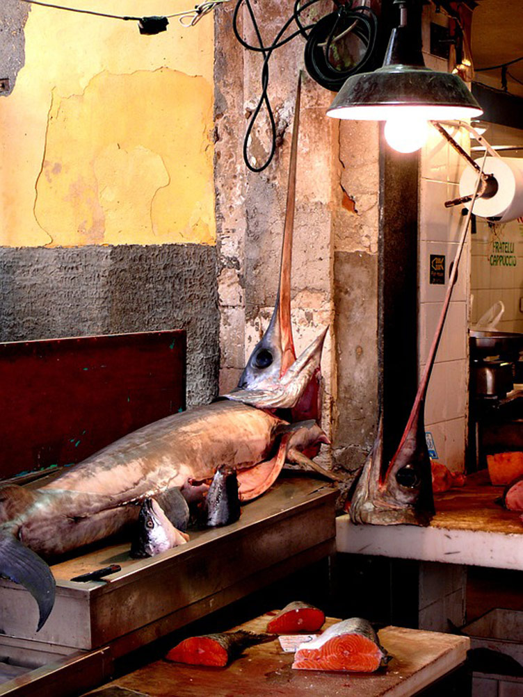 A swordfish is placed on a table inside a small traditional fisherman workroom where fish cleaning process takes place. 