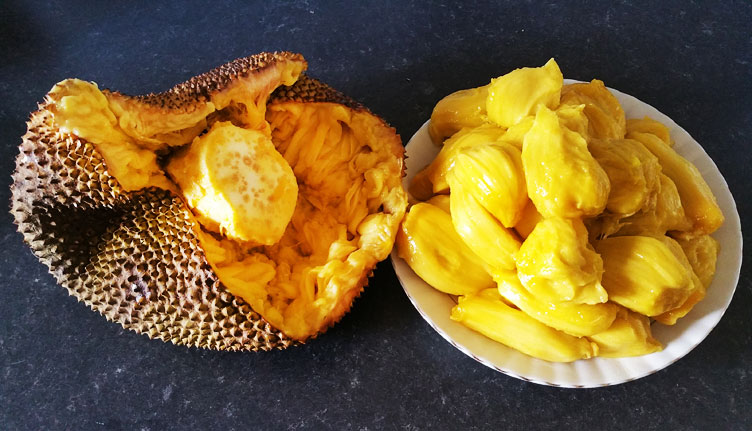 Jackfruit from Whitechapel Road Market, London