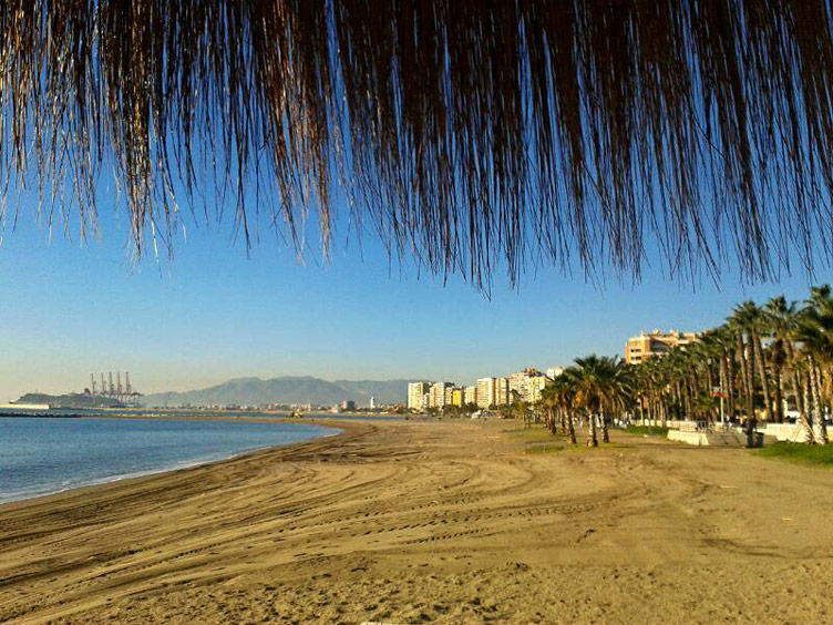 Yellow beach, palm trees and Malaga city buildings at a distance, photographed on a sunny day, Spain