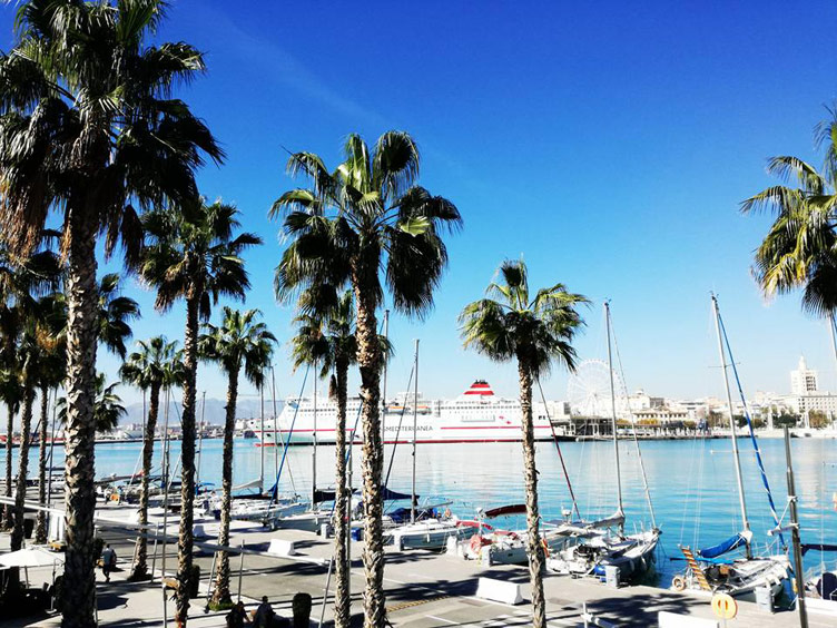 Lots of docked sailing boats and palm trees on a sunny day set against blue water and sky