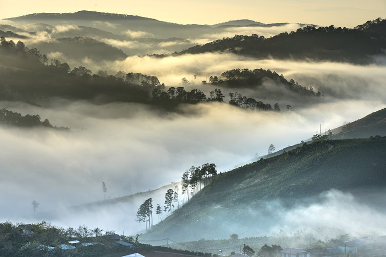 A gorgeous landscape of Da Lat hilltops submerged in the sea of clouds, Vietnam 