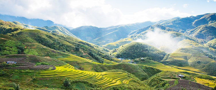 Green rice terraces of Sapa set against gorgeous mountains in Vietnam